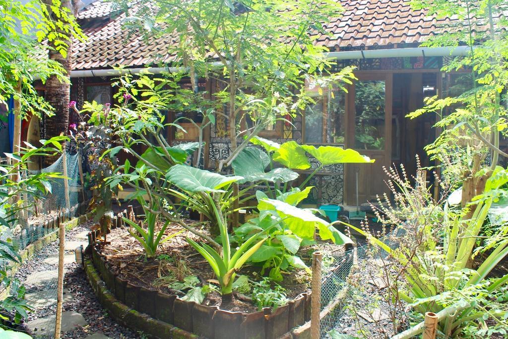 Farmer'S Yard Hostel Canggu Eksteriør billede